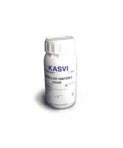 Agar Mueller Hinton II Frasco 100g - K25-620627 - KASVI