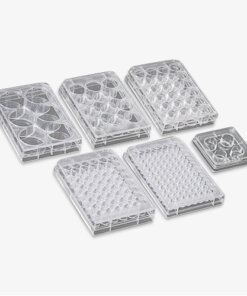 Placa Para Cultivo de Células Fundo Chato - KASVI